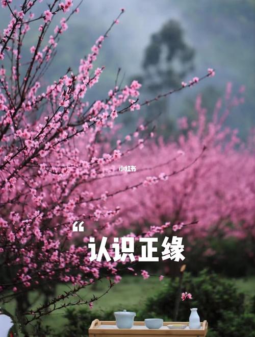 八字有3朵正缘桃花的人好吗