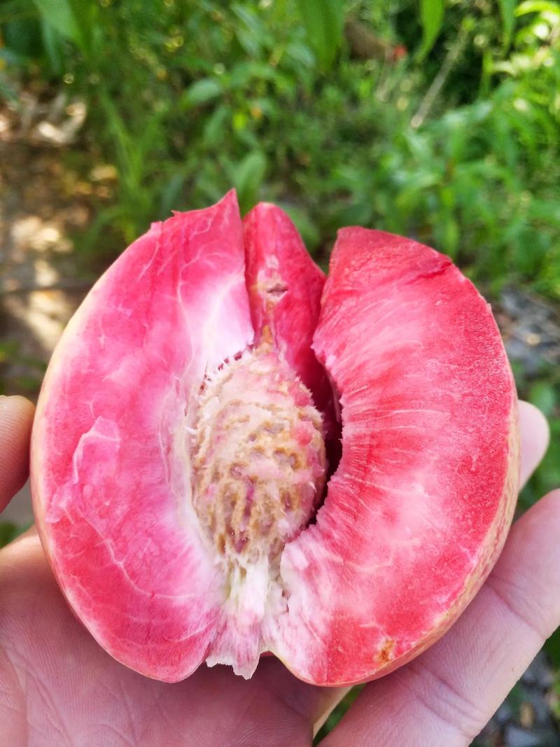 月柱中有天喜桃花代表什么