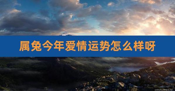 属兔人会以什么目的而谈恋爱