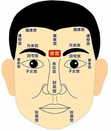 最忠实可靠的面相