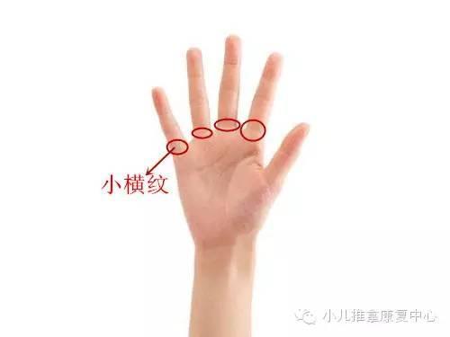 手指上的横纹代表什么