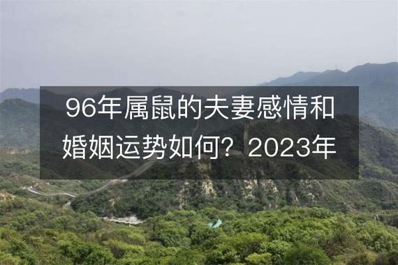今年属鼠的感情与婚姻如何