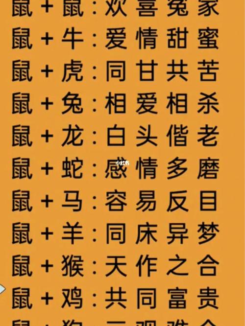 免费十二属相婚姻配对,生肖最好的配对