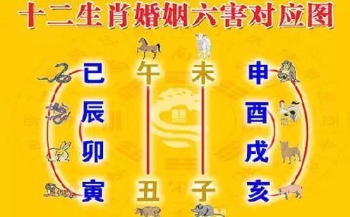 属牛三合和三冲属相是谁
