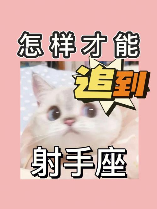 如何追求射手座男生