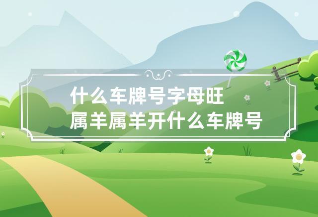 91年属羊人最好车牌号字母,属羊人买什么颜色的车运势好