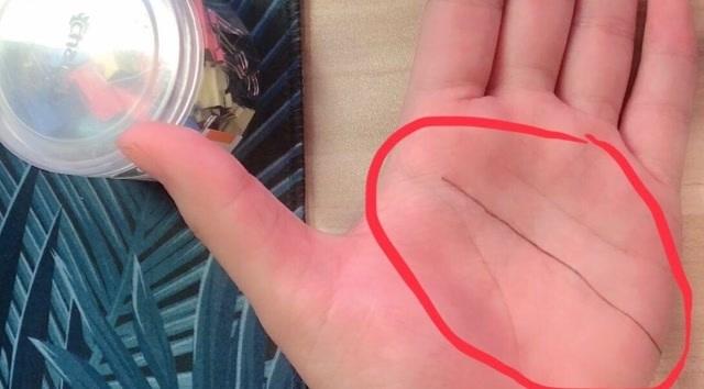 智慧线很长的人在学业上毫无压力是真的吗