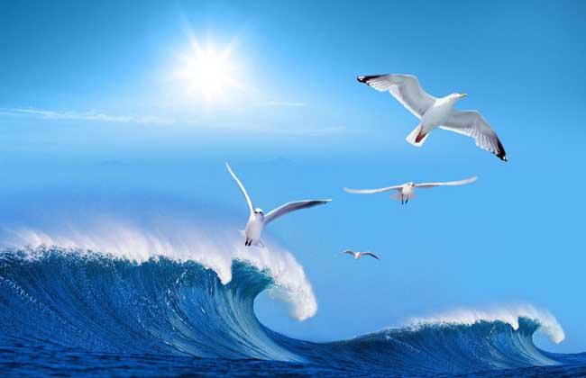 梦见海洋周公解梦,梦见海洋是什么意思?