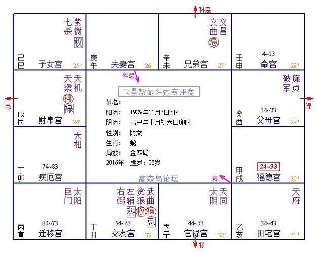 财帛宫 财帛宫天梁化禄