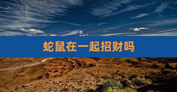 蛇和鼠做生意合不合财,适合做什么生意