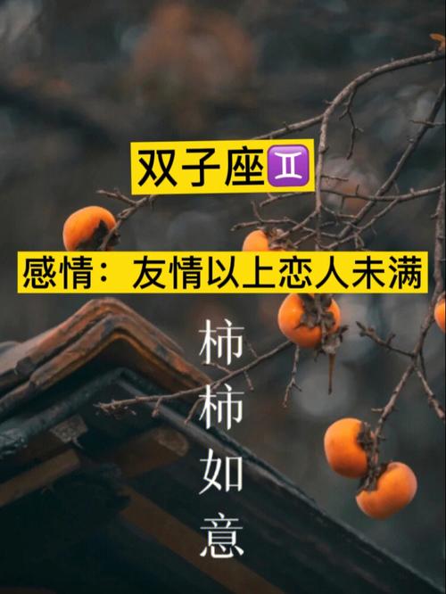 双子女在意爱人的生日么,双子女喜不喜欢管恋人
