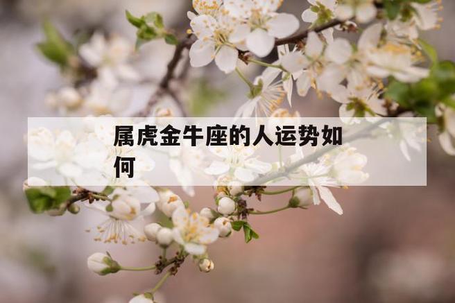 属虎金牛座2021年财运运势