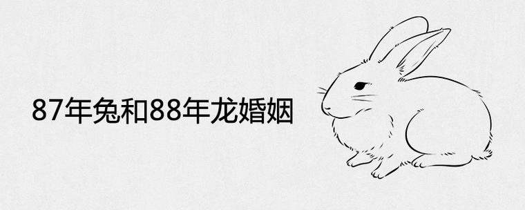 87兔男88龙女60年一遇大吉婚