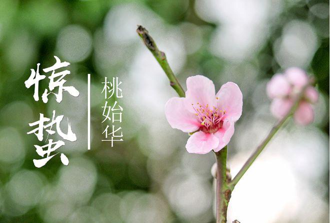 惊蛰出生的女孩命好不好