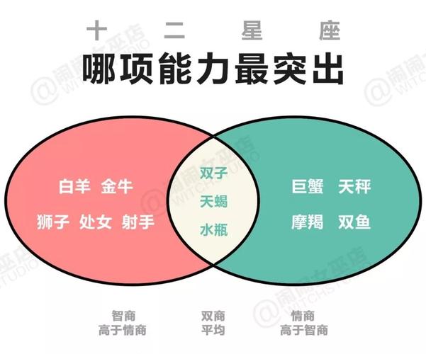 智商高于情商的星座