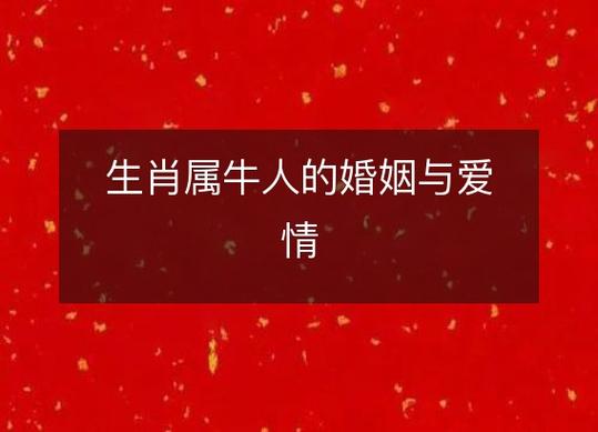 2020年属牛人的感情和婚姻