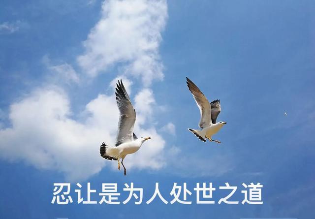 B型血君的为人处世之道