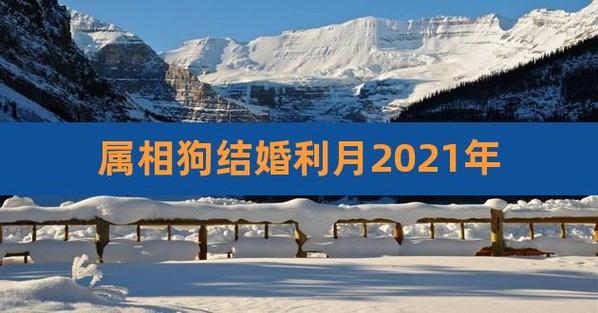 2021属狗会有二次婚姻吗