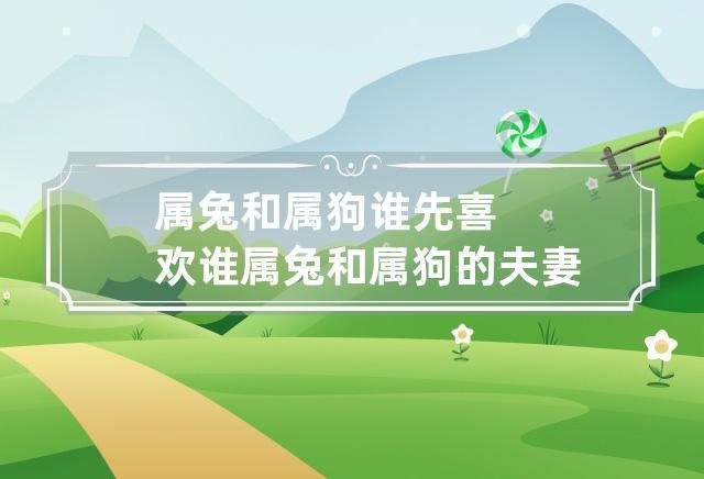 属兔和属狗谁先喜欢谁