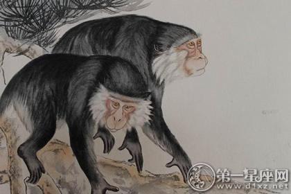 秦阳明2016年属猴人的整体与事业运程