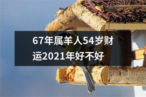 67年的羊什么时候退休