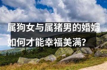 女狗男猪结婚会离婚吗?属猪男的爱情观念是什么?