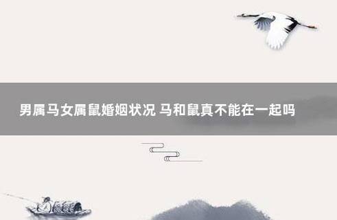 女马男鼠可以结婚吗？属马女人生观？