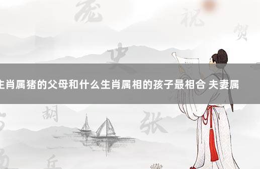猪宝宝和什么属相的父母相配
