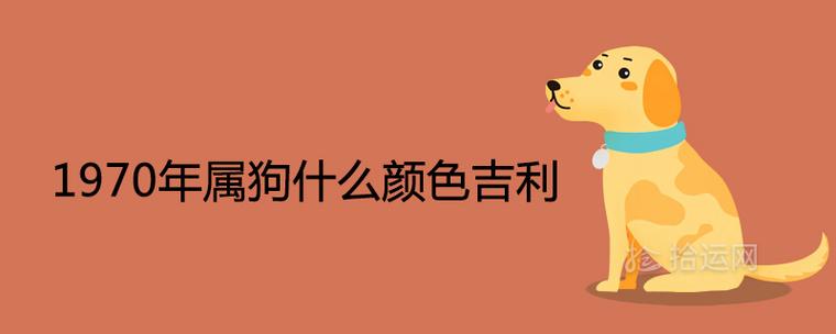 属狗的今年忌讳什么颜色