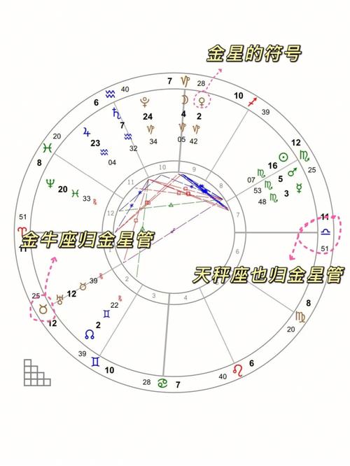 金星12宫 | 金星落宫落座解析