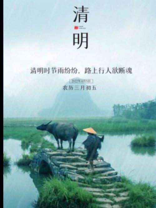 什么是清明不过社