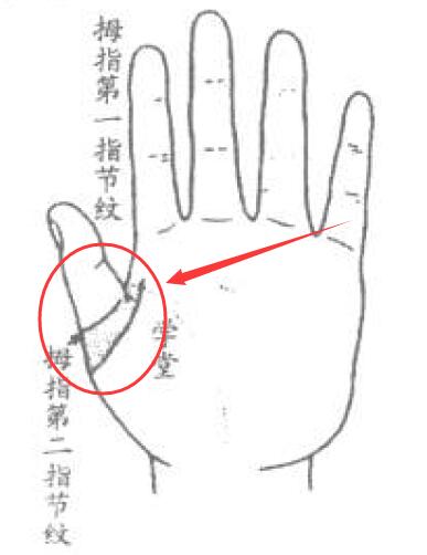 跟学业有关的手纹