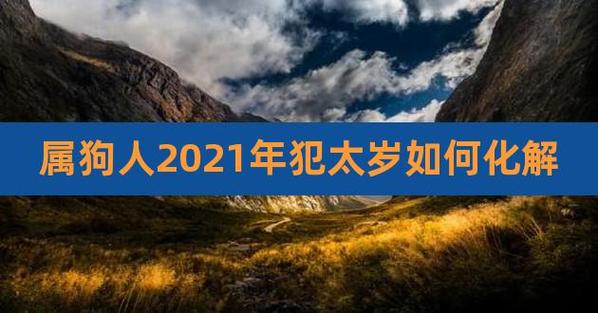 属狗的人2021年犯太岁吗,今年运势如何化解