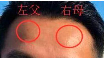 头角峥嵘是指哪些面相!