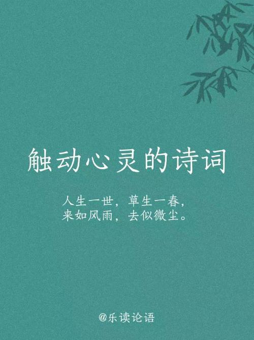 诗词起名,每一个都触动你心灵