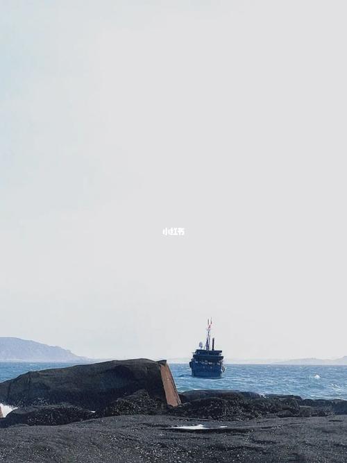 大海水的男人命格