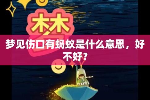 梦见伤口有蚂蚁