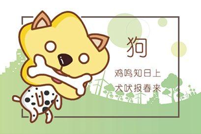 属狗会对偶像脱粉的原因