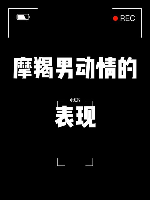 摩羯男动心和动情的表现