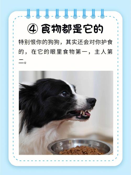 属狗男不想让另一半知道的事