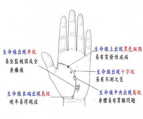 支线伸进月丘的生命线是什么？