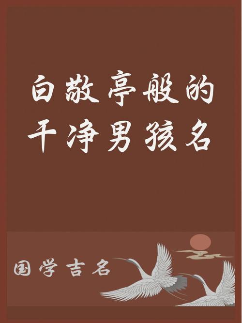 干净动听的男孩名字