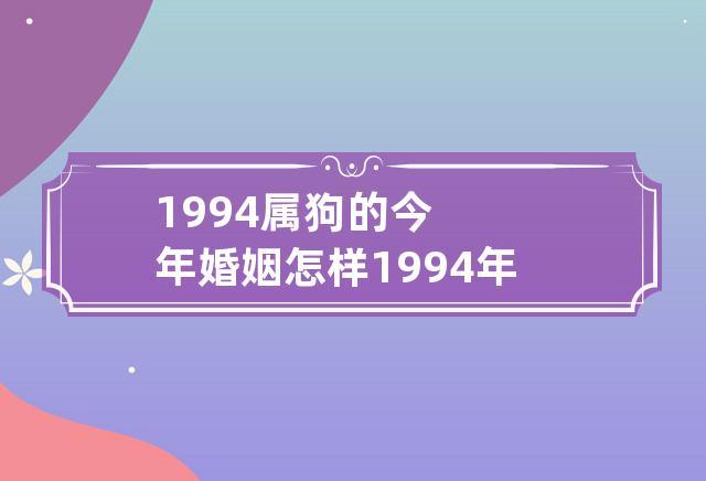1994属狗的今年婚姻不好