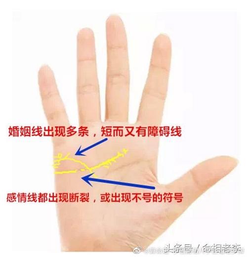 了解感情线,自己分析感情