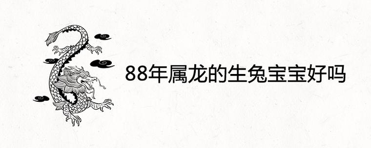 87兔和88龙生什么宝宝能化解相害