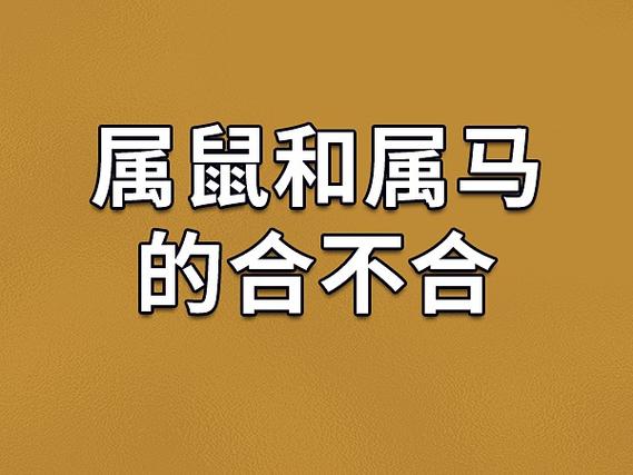 爸爸属鼠孩子属马好吗