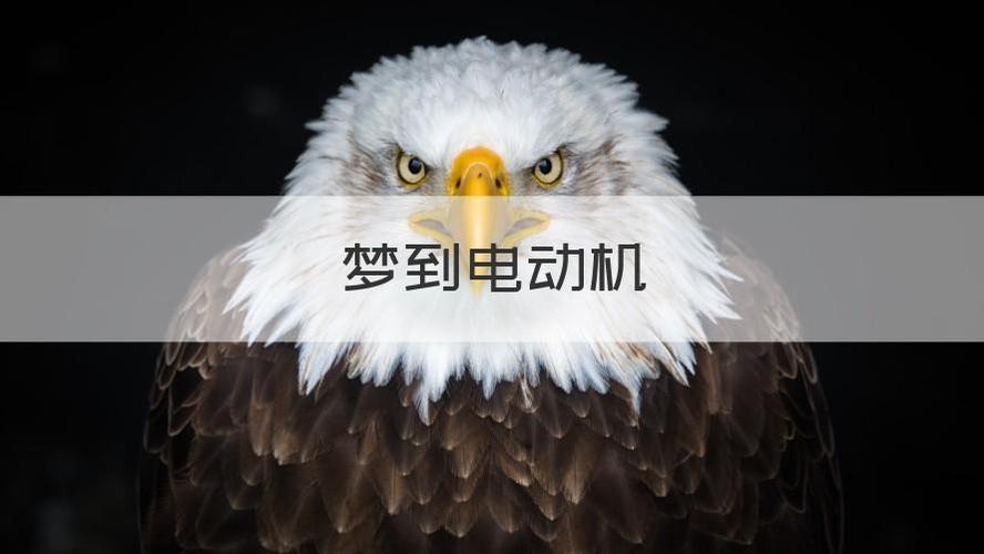 梦见电机