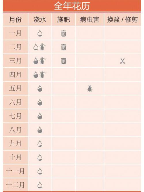 水仙花风水 看如何摆放水仙花,风水中的家之瑰宝!