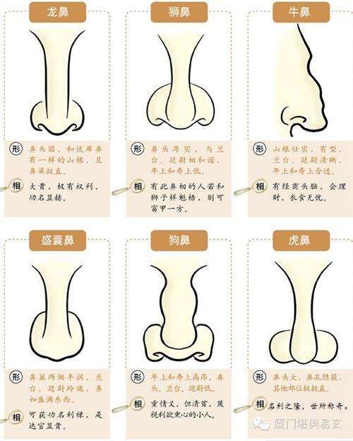 面相学图解 男人鼻梁塌陷好不好