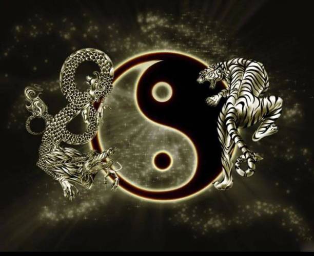 丙巳日是什么意思